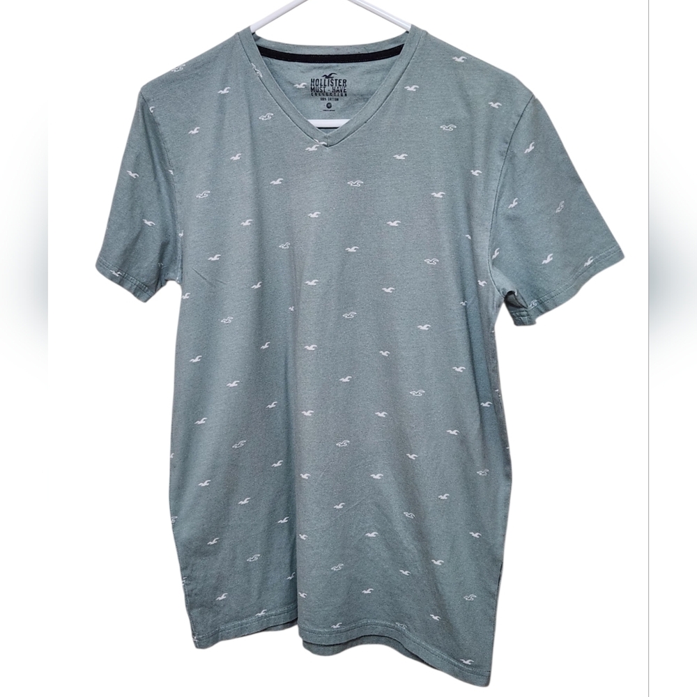Hollister Must Have Collection Men's Medium  V-Neck Tee